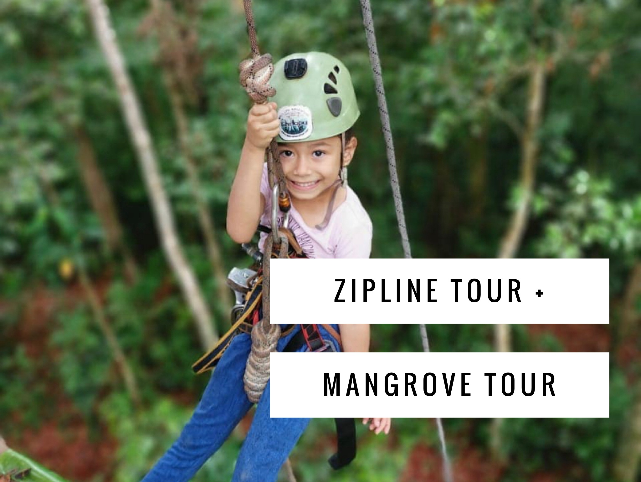 canopy tour and mangrove tour